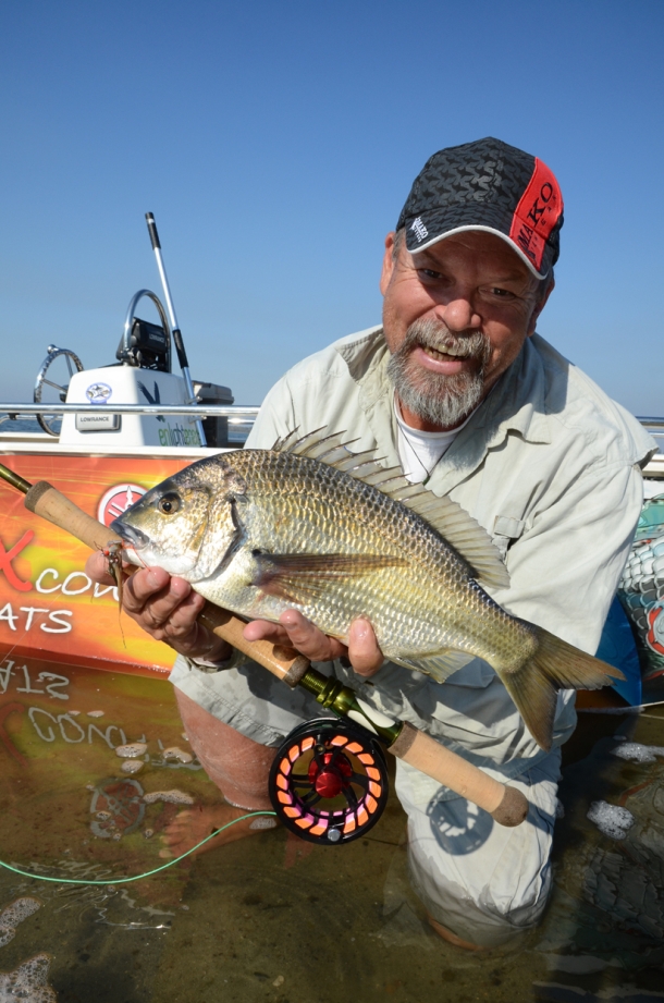 Starlo fights to ban nets